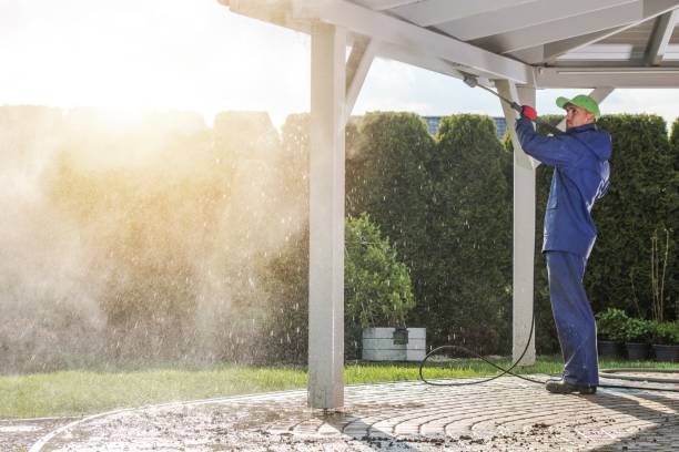 Best Boat and Dock Cleaning  in Le Claire, IA